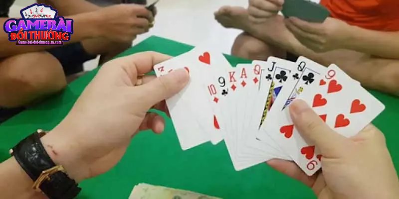 Chuyên mục giải trí đa dạng